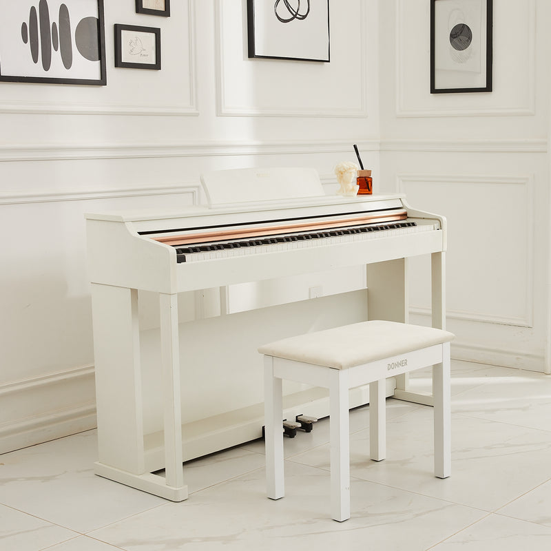 Donner DDP-100 Pianoforte digitale verticale 